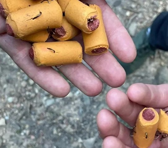 Trail of Terror — Fishhooks in Dog Treats Threaten Pets and Wildlife on Appalachian Path