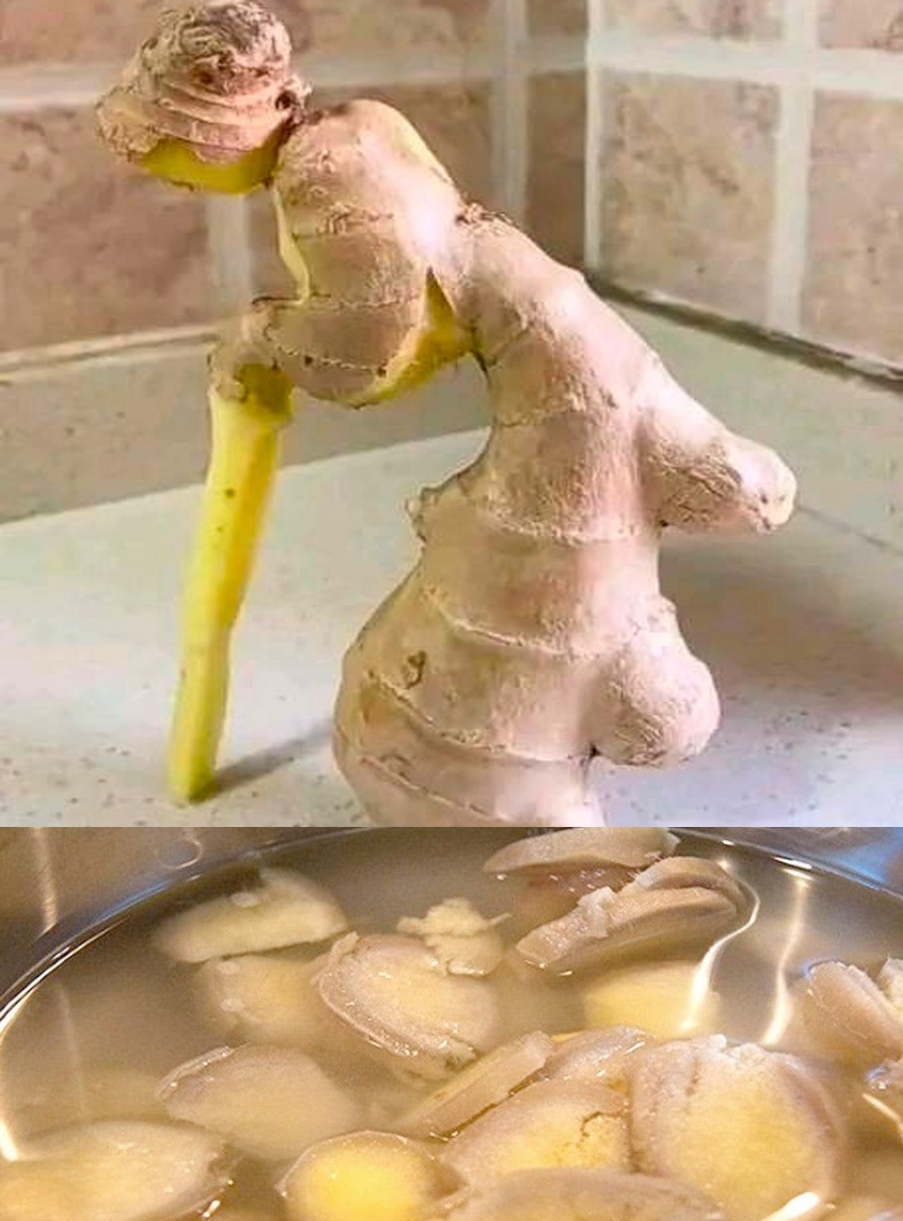 The Power of Ginger: The Appearance of an Old Man, the Strength of an Ancient Remedy