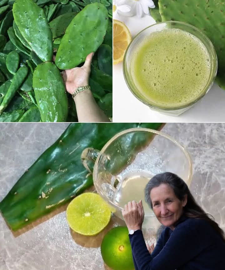Lemon and Nopal Remedy: A Natural Boost for Your Body