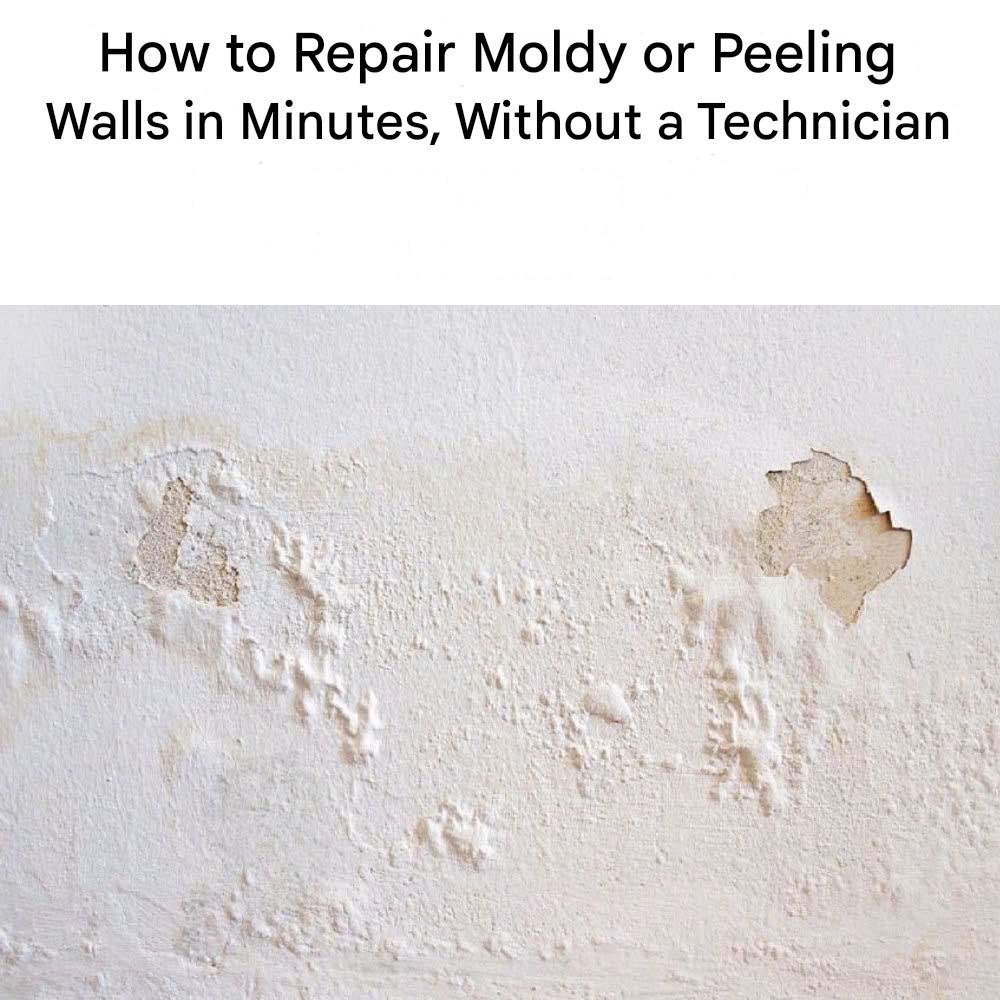 How to Repair Moldy or Peeling Walls in Minutes