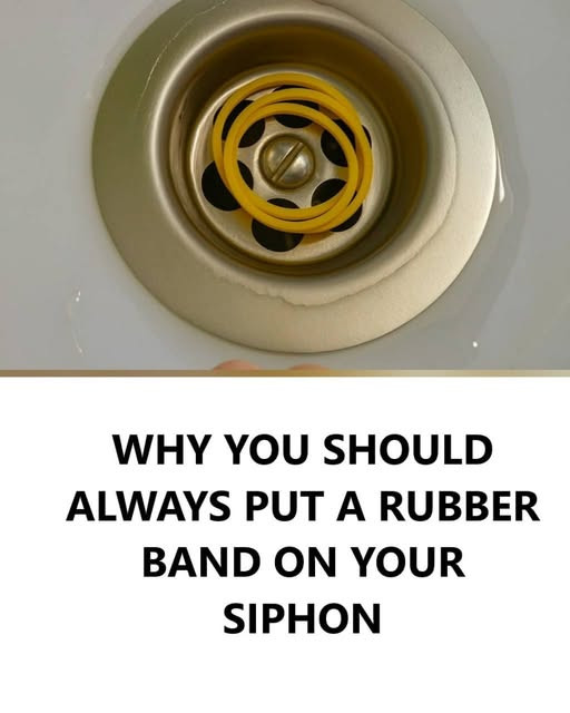 Why Put a Rubber Band on the Siphon: All the Reasons and Advantages of This Simple Trick