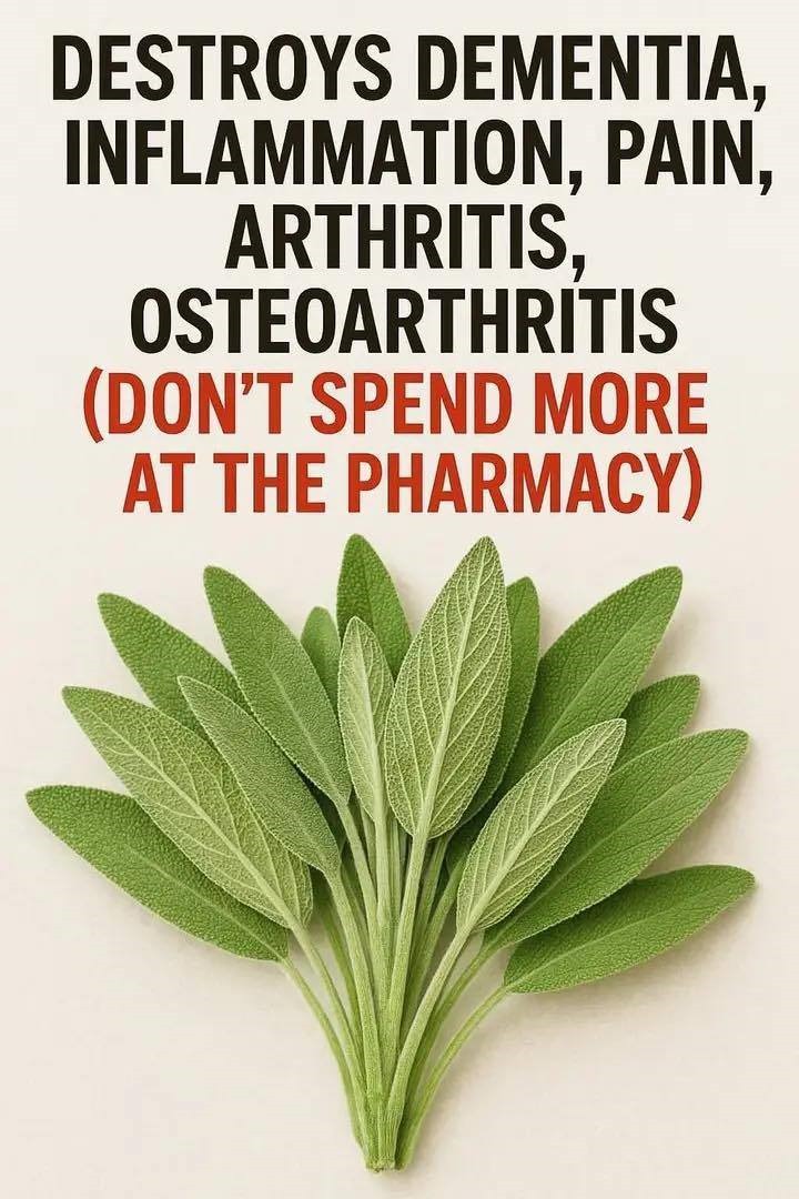 A Natural Remedy for Brain Health, Inflammation, and Joint Pain