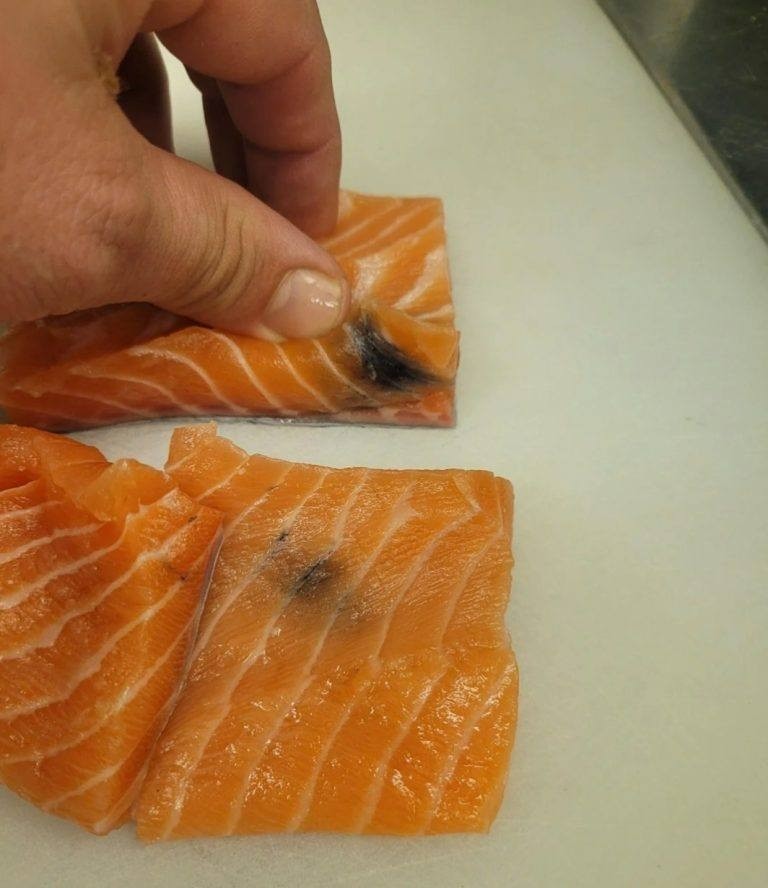 Why your thawed salmon is yellow – and whether it’s safe to eat