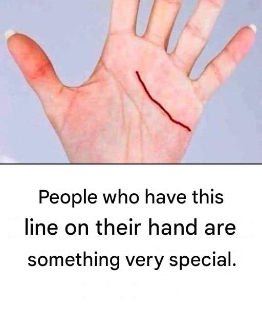 Palmistry and the Interpretation of the Lines in the Palms of the Hands