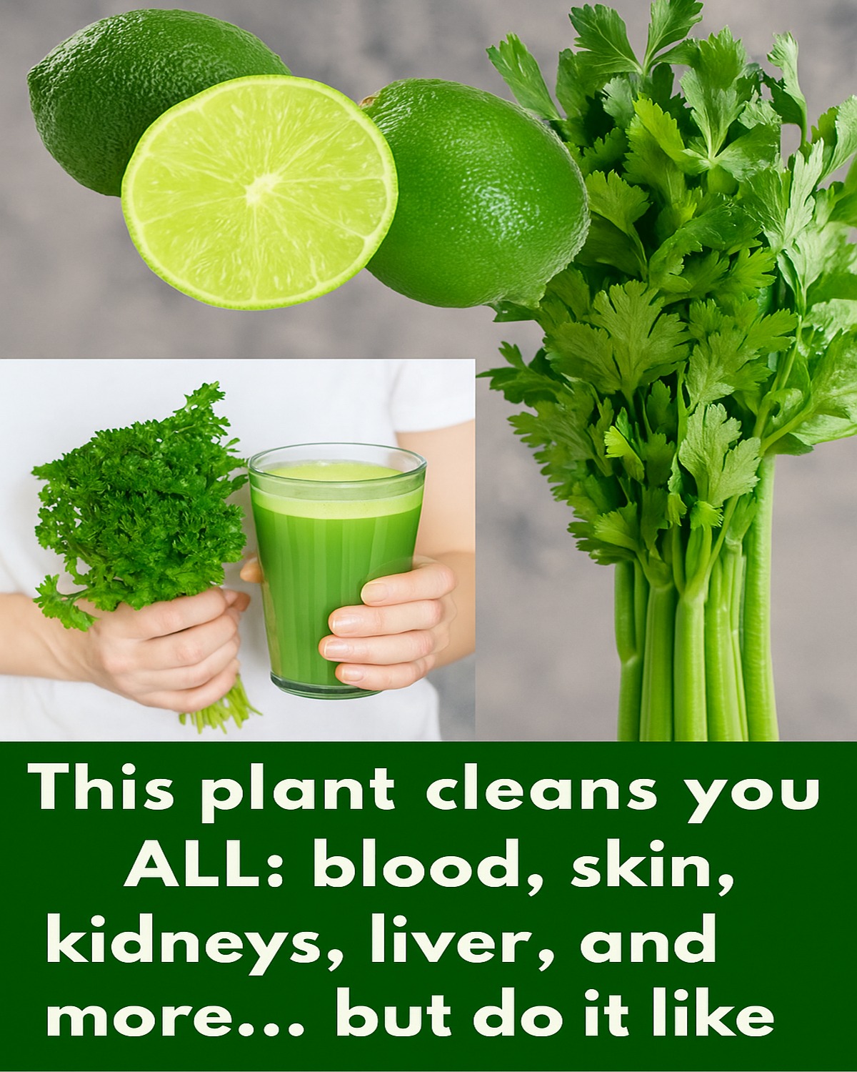 The Miracle Plant That Supports Blood, Skin, and Organ Health — But Only If You Use It Right!