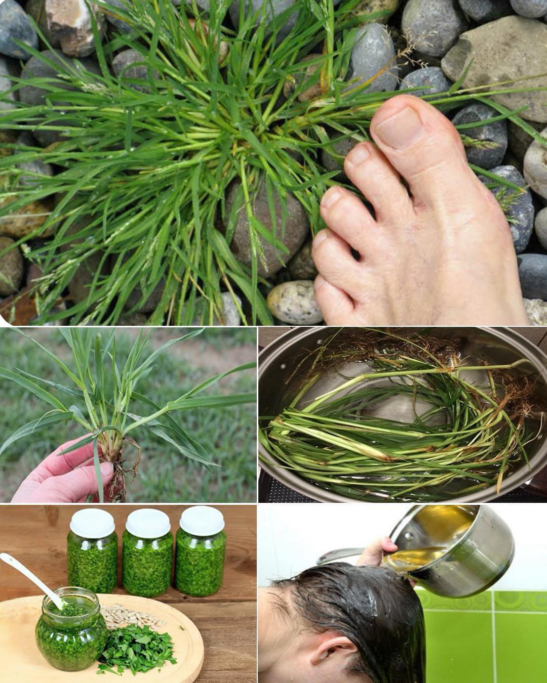 This underestimated wonder of nature is actually a real-life treasure….💬👀👇