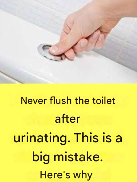 Why Is It Extremely Important Not to Flush the Toilet After Every Urination?