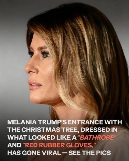 A Graceful Start to the Season as Melania Trump Welcomes the 2025 White House Christmas Tree