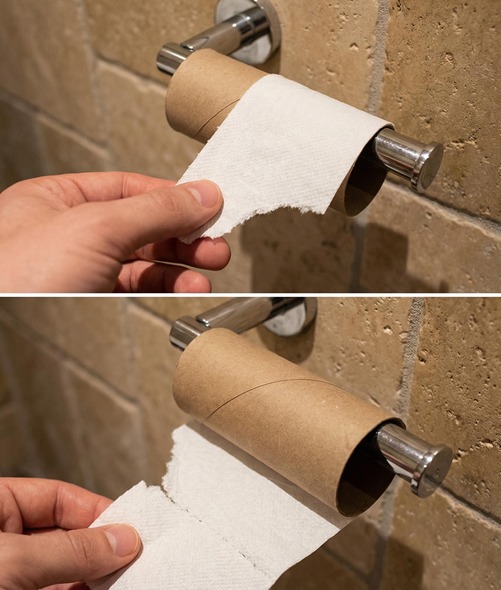 Why More People Are Exploring Eco-Friendly Alternatives to Toilet Paper!