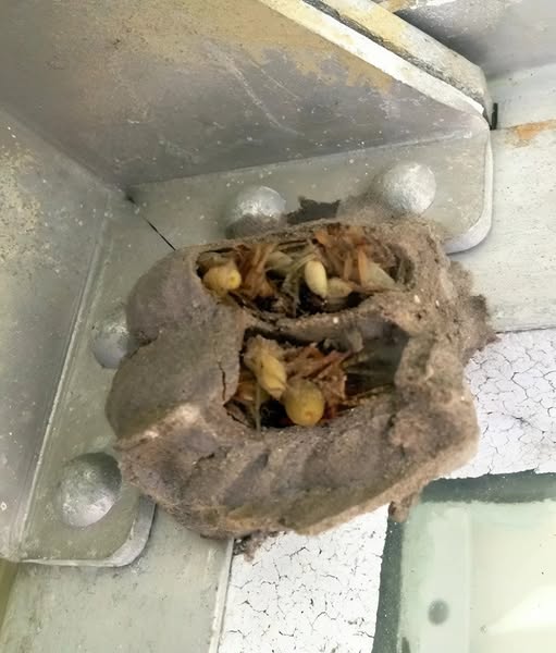 I Went Into the Garage to Retrieve an Old Toolbox!