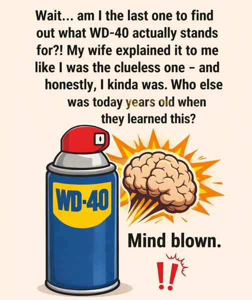 The True Meaning of WD-40 Surprises Many People!