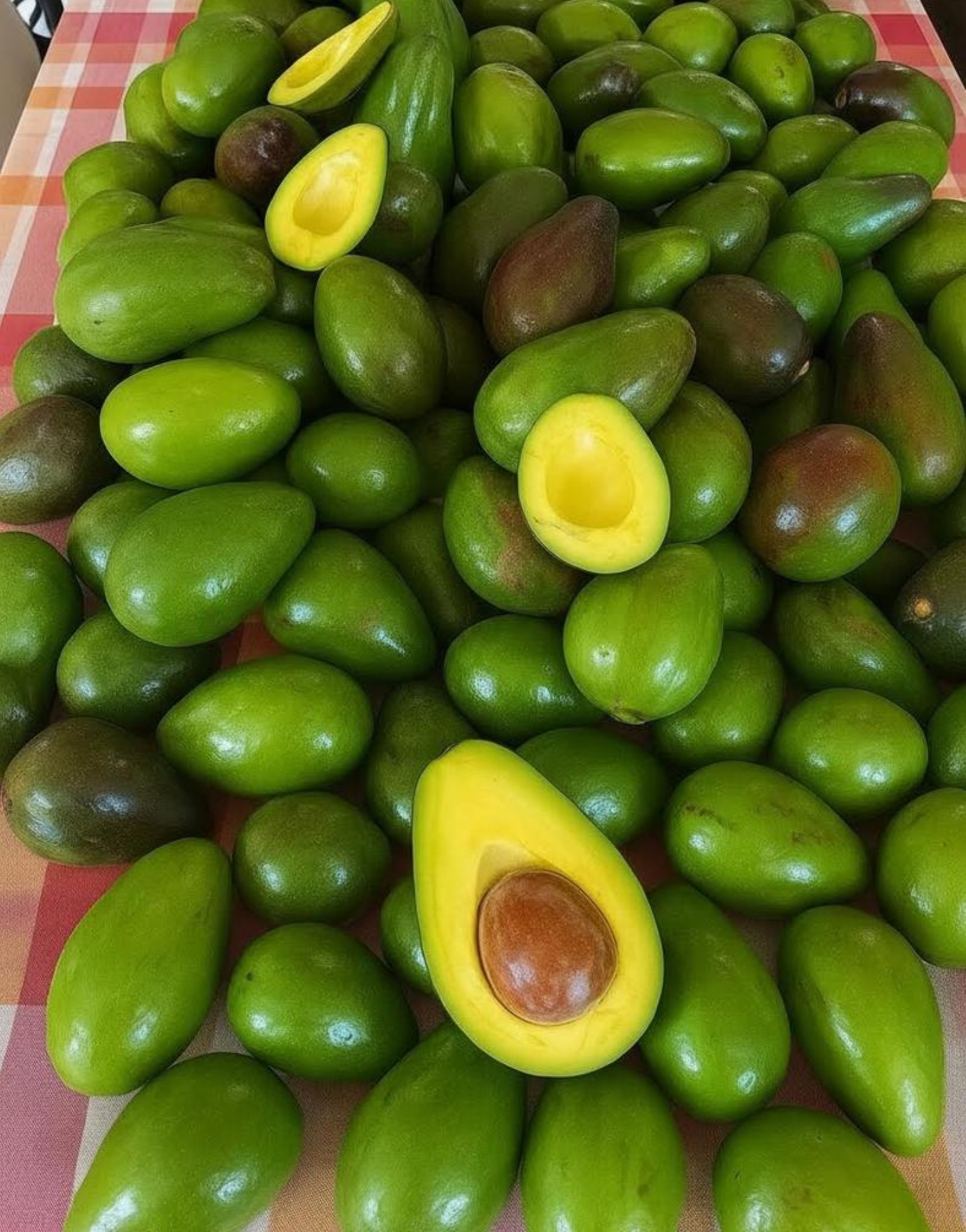 Doctors Reveal That Eating Avocado Can Cause Unexpected Side Effects!