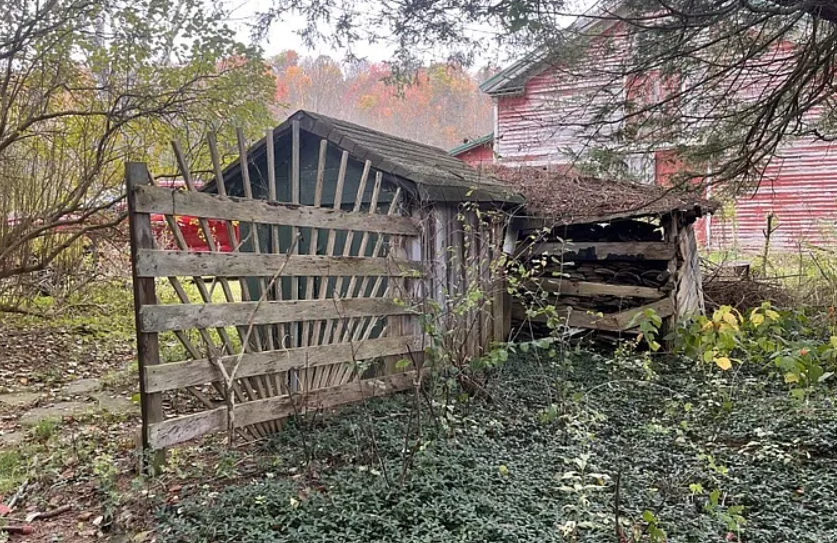 Your Chance to Reimagine and Revive a New York Home