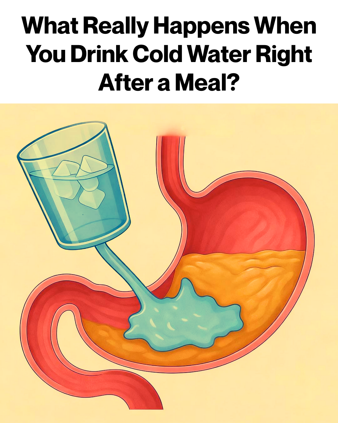 What Really Happens When You Drink Cold Water Right After a Meal?