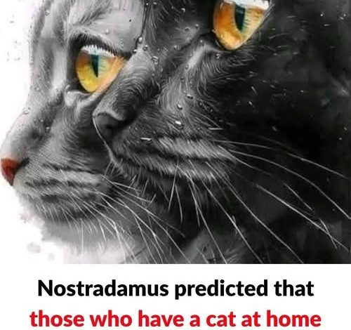 “The Unexpected Spiritual Significance of Your Cat—Did Nostradamus Hint at It”
