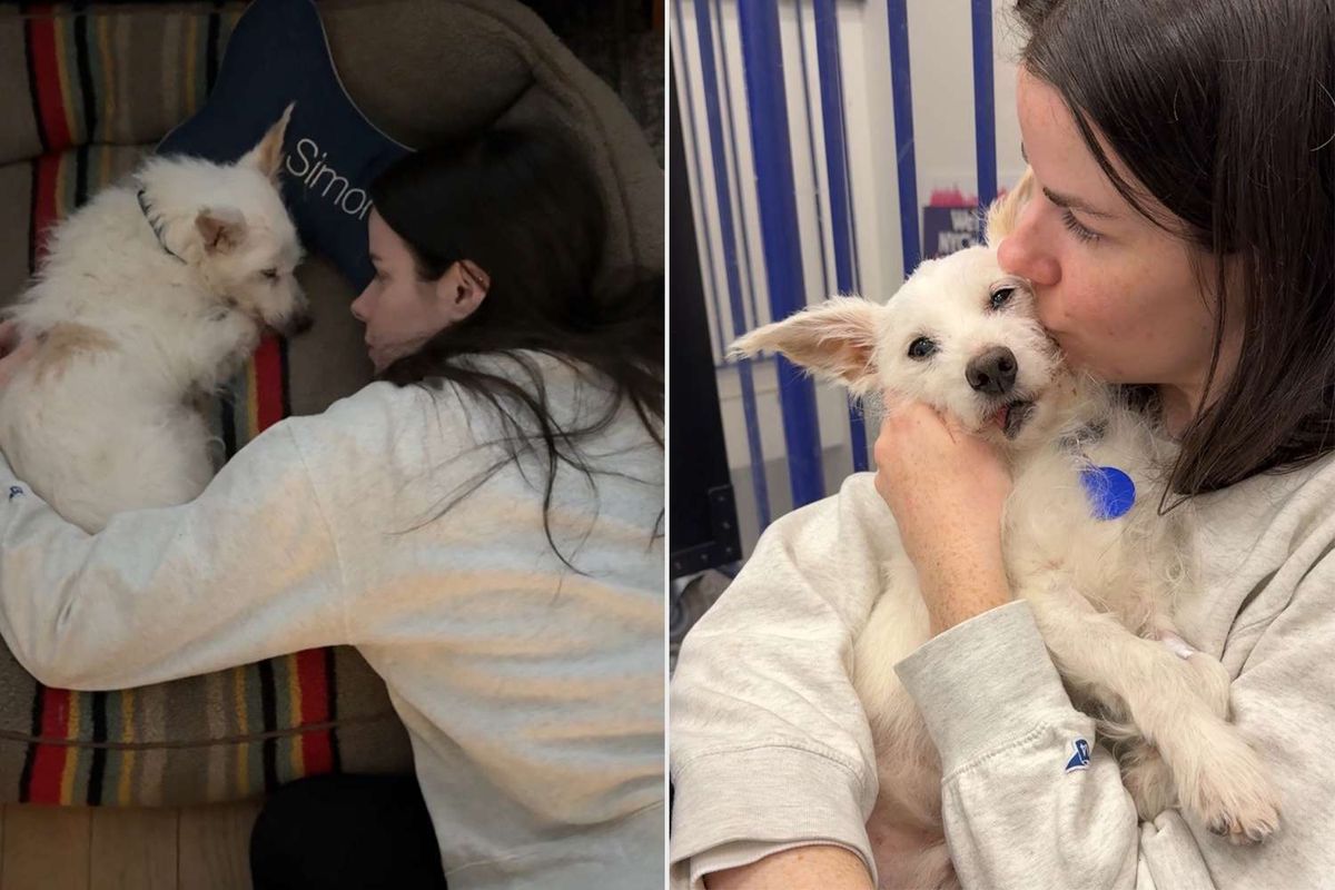 Woman Adopts Foster Dog for One Last Night of Love