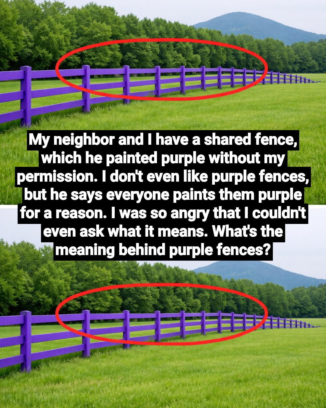 What a Purple Fence Symbolizes! – Story Of The Day!