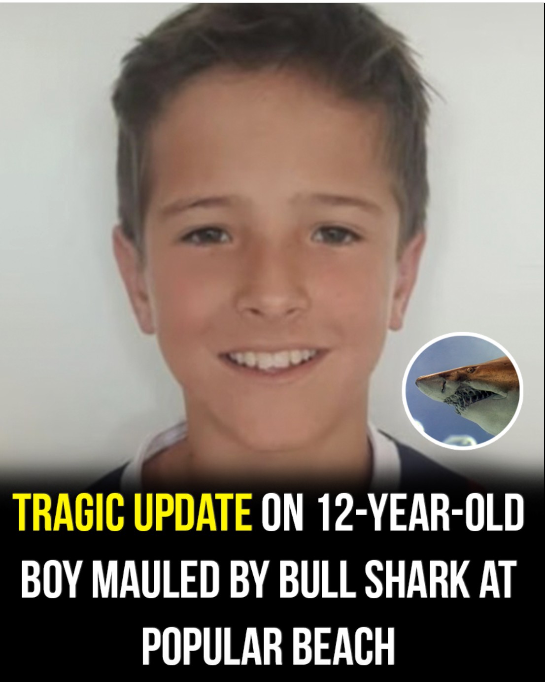 Tragic update on 12-year-old boy mauled by shark at popular beach! – Story Of The Day!
