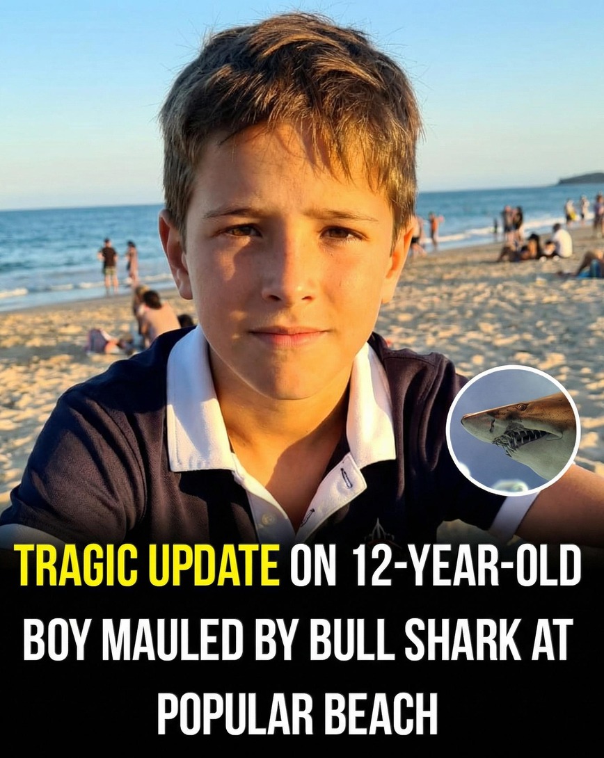 Update on a 12-Year-Old Boys Incident at a Popular Beach! – Story Of The Day!