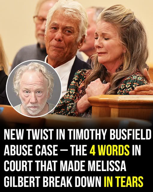 Melissa Gilbert breaks down in court as Judge rules on Timothy Busfields release! – Story Of The Day!