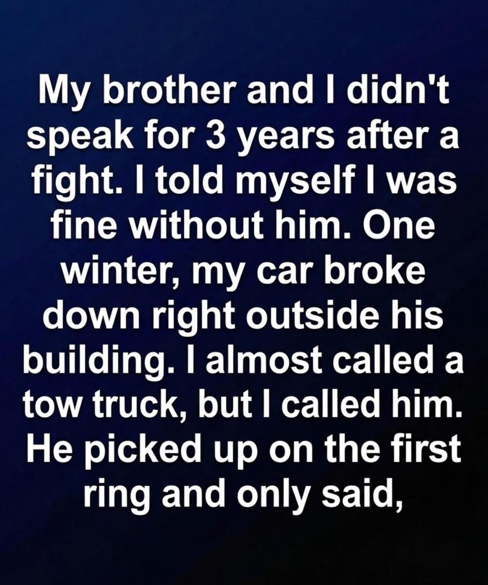 The Distance Between Us Was Closer Than I Ever Realized! – Story Of The Day!