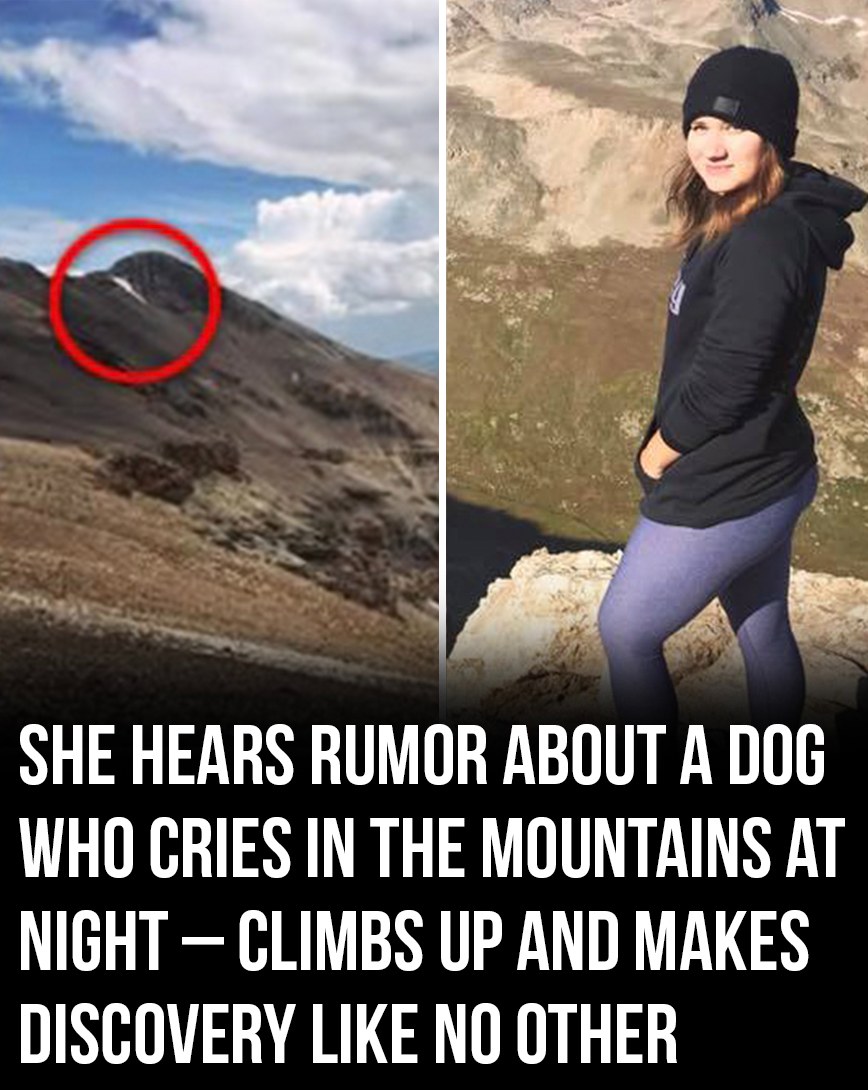 She Heard About a Dog Crying in the Mountains at Night – Went to Investigate and Found Something Incredible! – Story Of The Day!